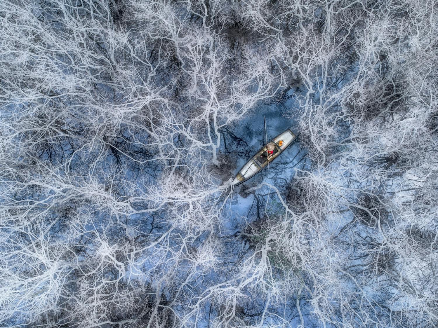 Fishing in Mangrove Forest Vietnamesisk fisker